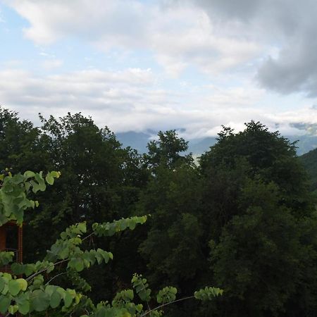 Mars Otel Artvin Ngoại thất bức ảnh