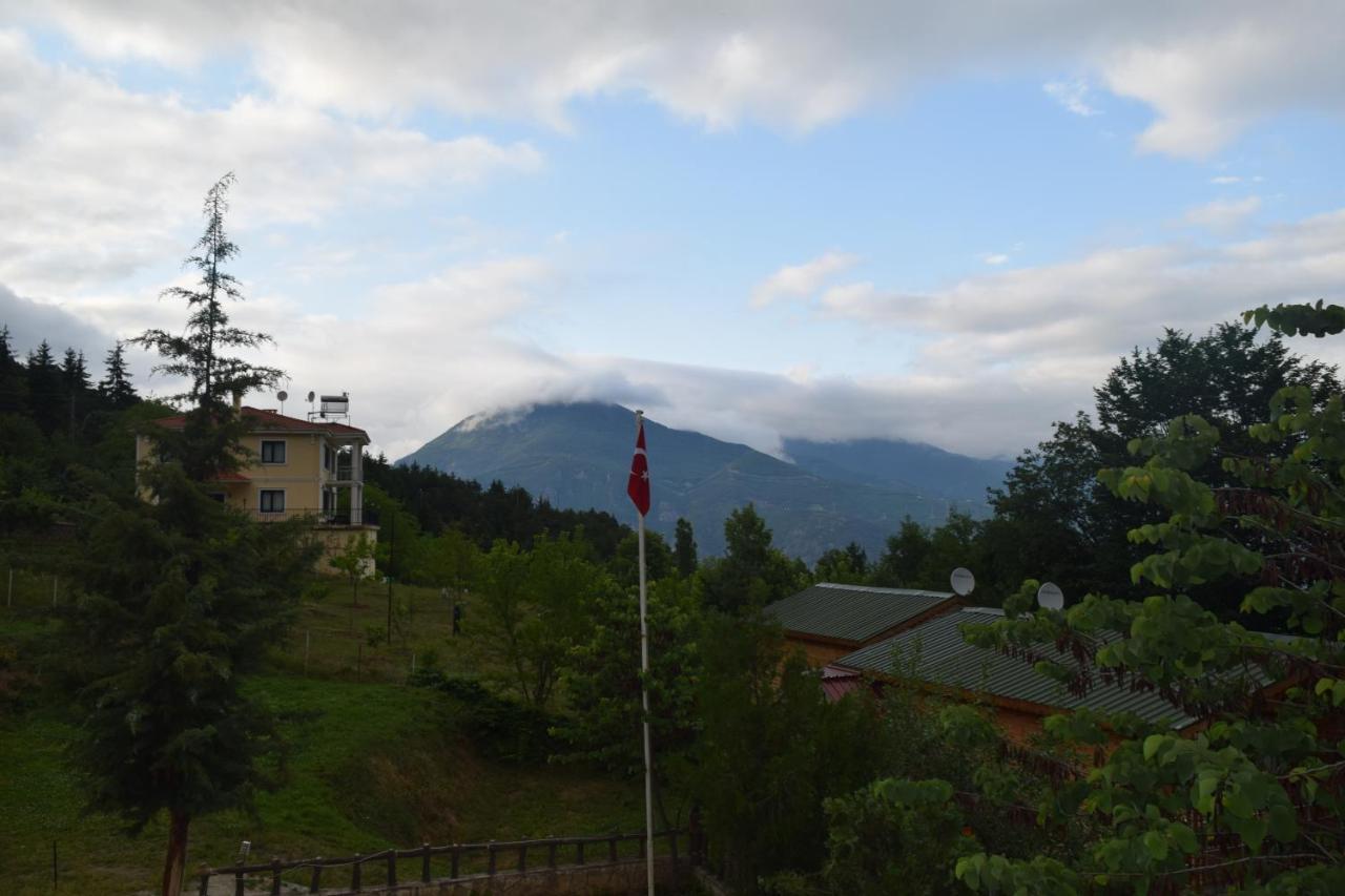 Mars Otel Artvin Ngoại thất bức ảnh