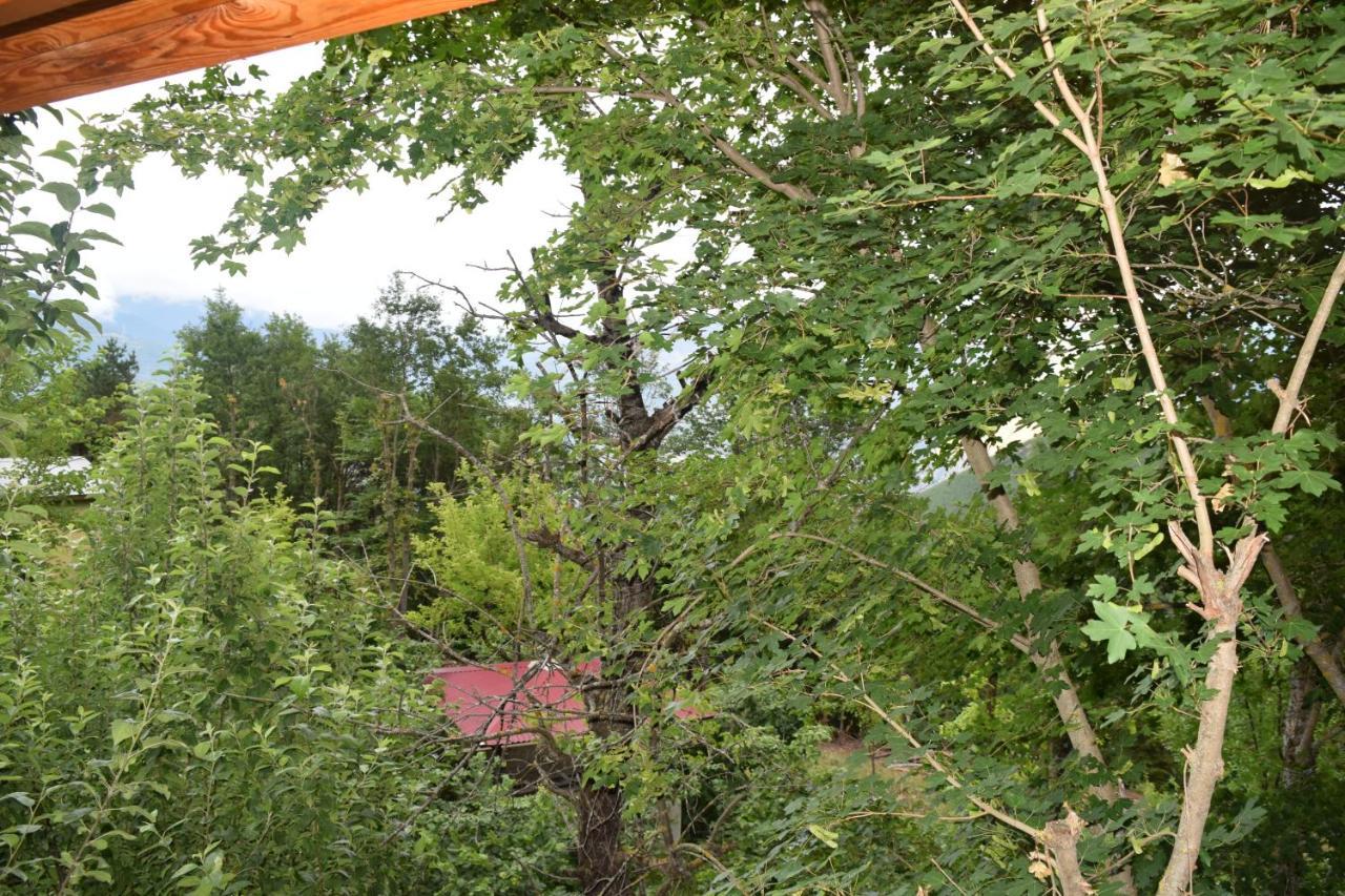 Mars Otel Artvin Ngoại thất bức ảnh